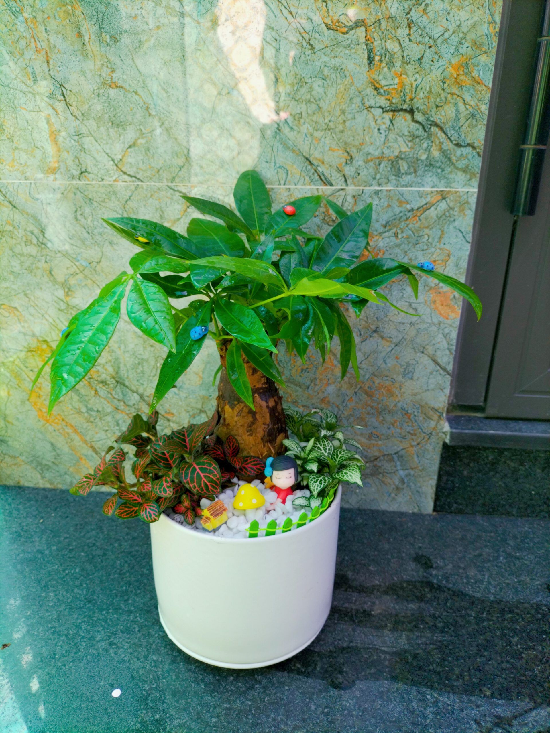 Kim Ngân Tiểu cảnh - Ảnh 4