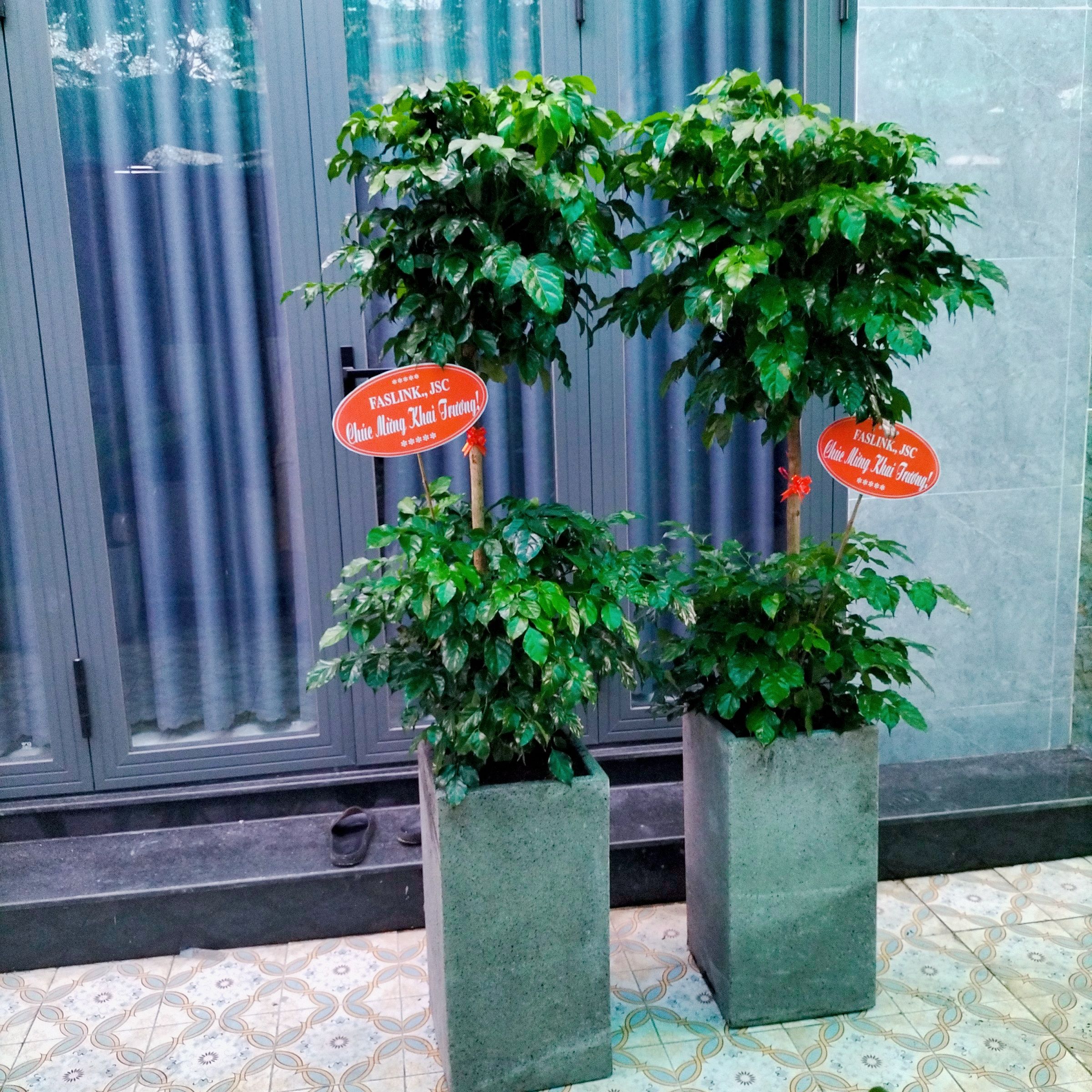 Cây hạnh phúc 2 tầng - Ảnh 5