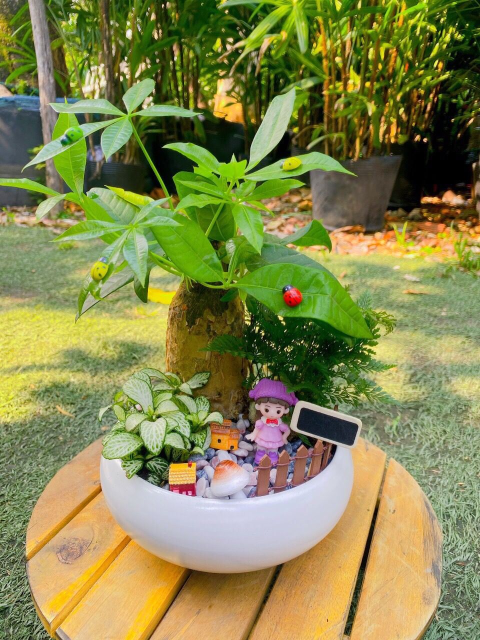 Kim Ngân Tiểu cảnh - Ảnh 3