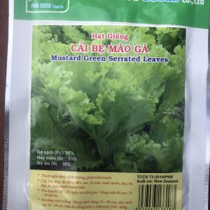 Cây Cải Bẹ Mào Gà