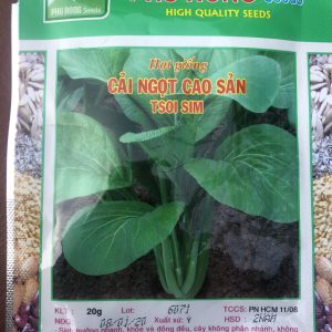 Cải Ngọt Cao Sản
