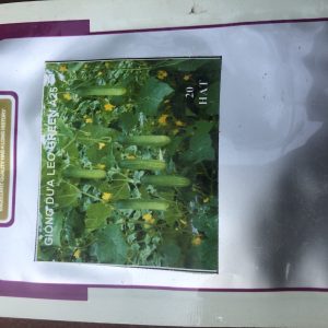 Hạt Giống Cây Dưa Leo