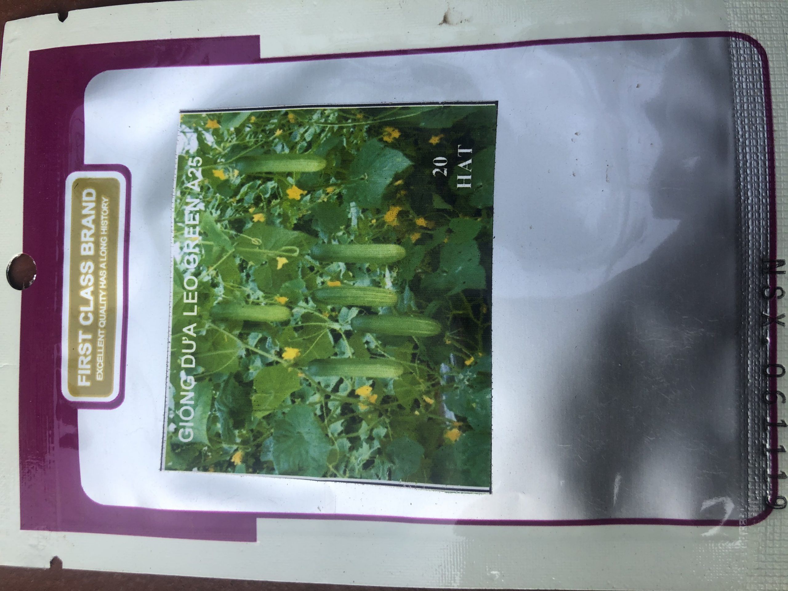 Hạt Giống Cây Dưa Leo - Ảnh 2