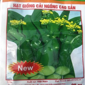 Hạt Giống Cây Cải Ngồng