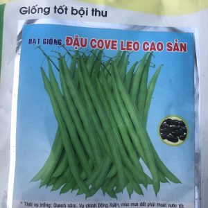 Hạt Giống Cây Đậu Cove