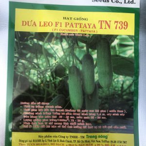 Hạt Giống Cây Dưa Leo