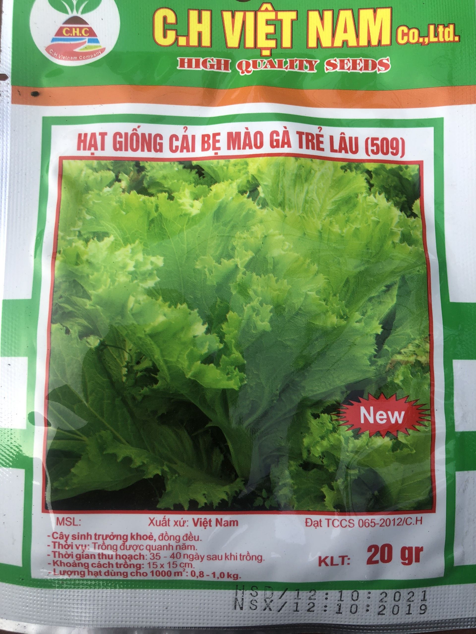 Hạt Giống Cây Cải Bẹ Mào Gà - Ảnh 2