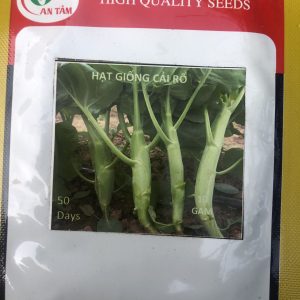 Hạt Giống Cây Cải Rổ