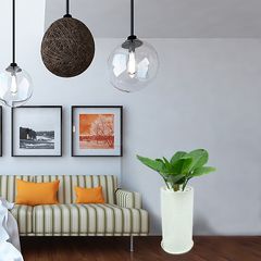 Cây Tróc bạc trong nước - Ảnh 4