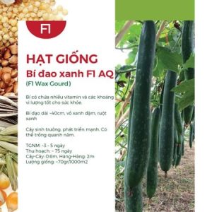 Hạt Giống Cây Bí Đa Đao
