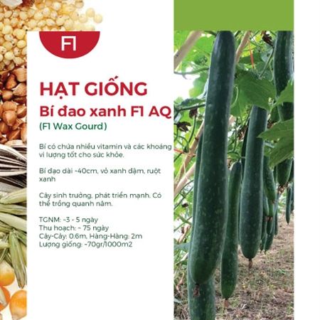 Hạt Giống Cây Bí Đa Đao