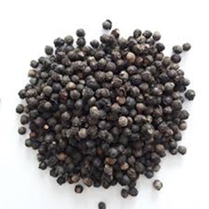 Hạt Giống Cây Mồng Tươi