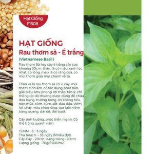 Hạt Giống Rau Thơm Sả - É Trắng