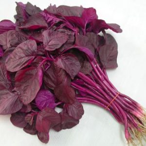 Hạt Giống Cây Rau Dền