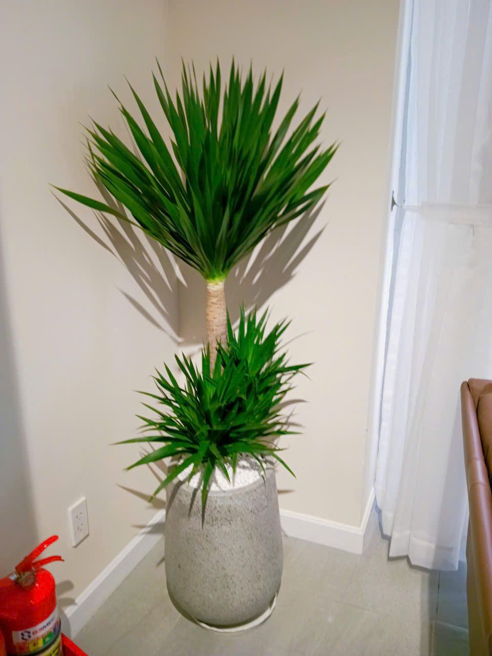 Phát Tài Núi - Ảnh 4